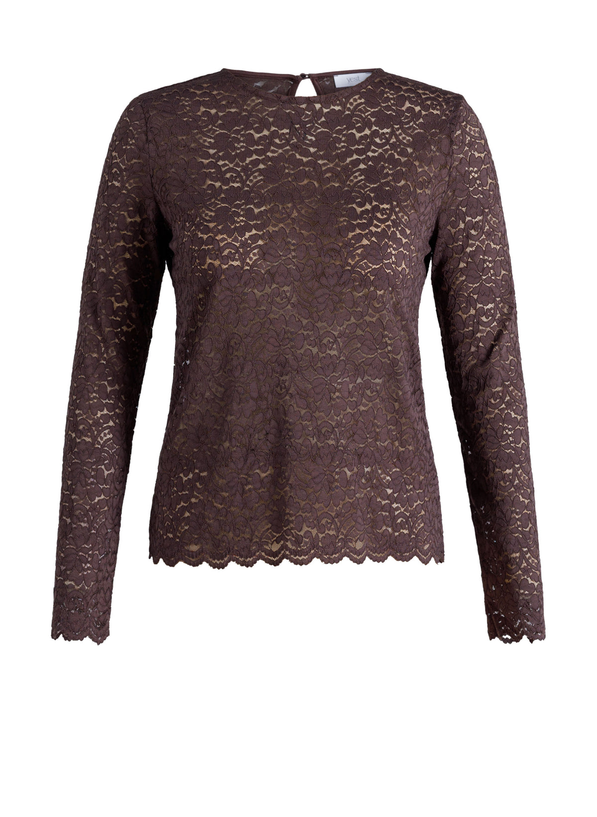 Hortensia Essential | Brown